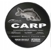 Леска SHIRO CARP CAMOU 250M  MISTRALL