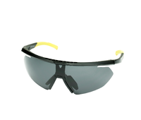 93-SPO-039S Солнцезащитные очки Robinson 