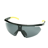 93-SPO-039S Солнцезащитные очки Robinson 