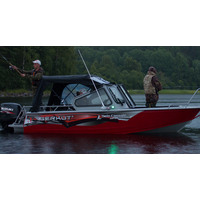 BERKUT L-DC комфорт